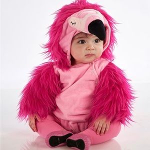 Pottery Barn Kids Baby Flamingo Costume